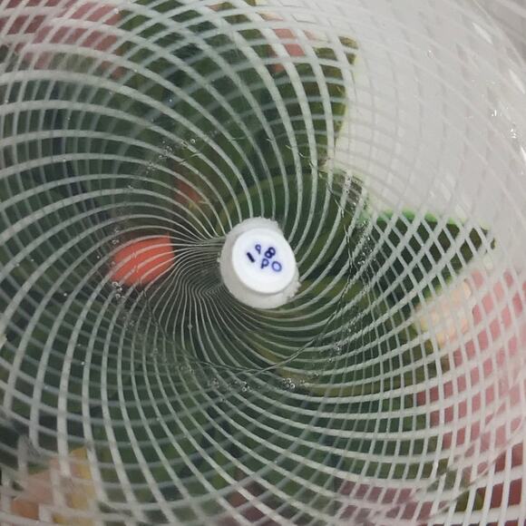 Perthshire 1980D Fruit 3D Pear Orange Lemon Plums Latticinio Paperweight Cert - Picture 7 of 16